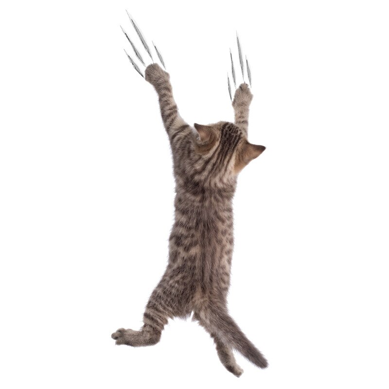 1 stuk achtergrondstickers schattige 3d kattenbehang decoratie badkamer toilet woonkamer huisdecoratie sticker: T6