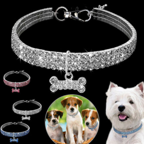 Collier de chien collier bijoux perles Diamante accessoire pour chiot Chihuahua cou décor harnais