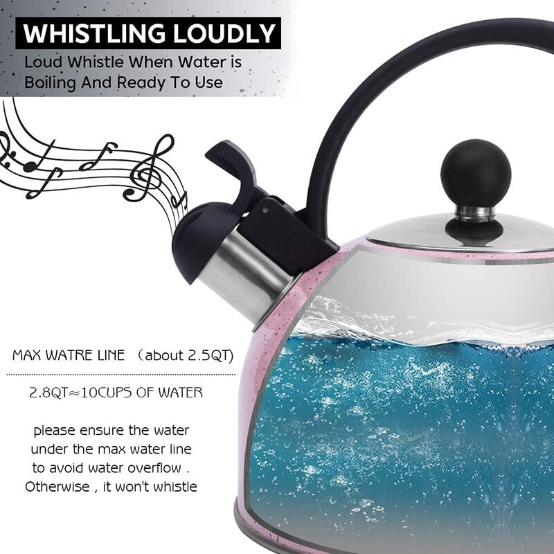 Tekanna, visslande vattenkokare av rostfritt stål för allt te -spishäll, tunn bas på , 2.5 liter