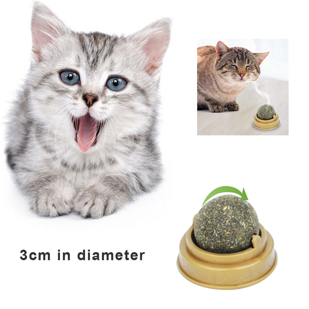 Animaux chat jouets interactif piste balle jouet chats amusant chat jeu Intelligence disque chat pour jouet balles pour Traning: G263078A