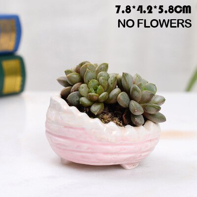 Huisdecoratie miniatuur model bloempotten glazuur asymmetrie bloemenvaas bureaudecoratie ornamenten beeldjes keramische pot: B