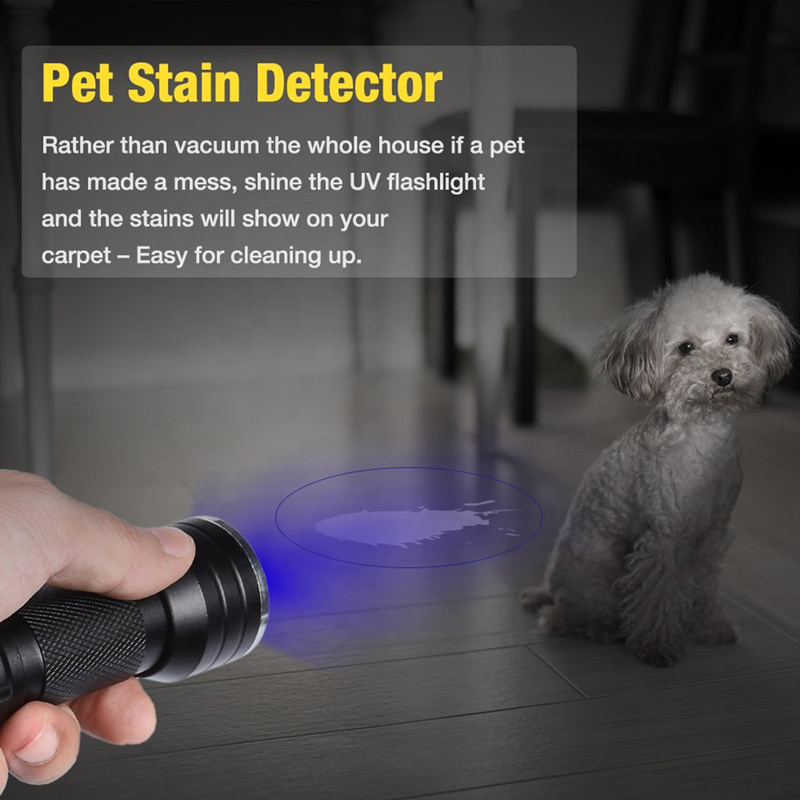 Linterna ultravioleta UV de 21 LED, luz negra de 395NM, Mini linterna de Flash para manchas de orina de mascotas, linternas portátiles de luz negra