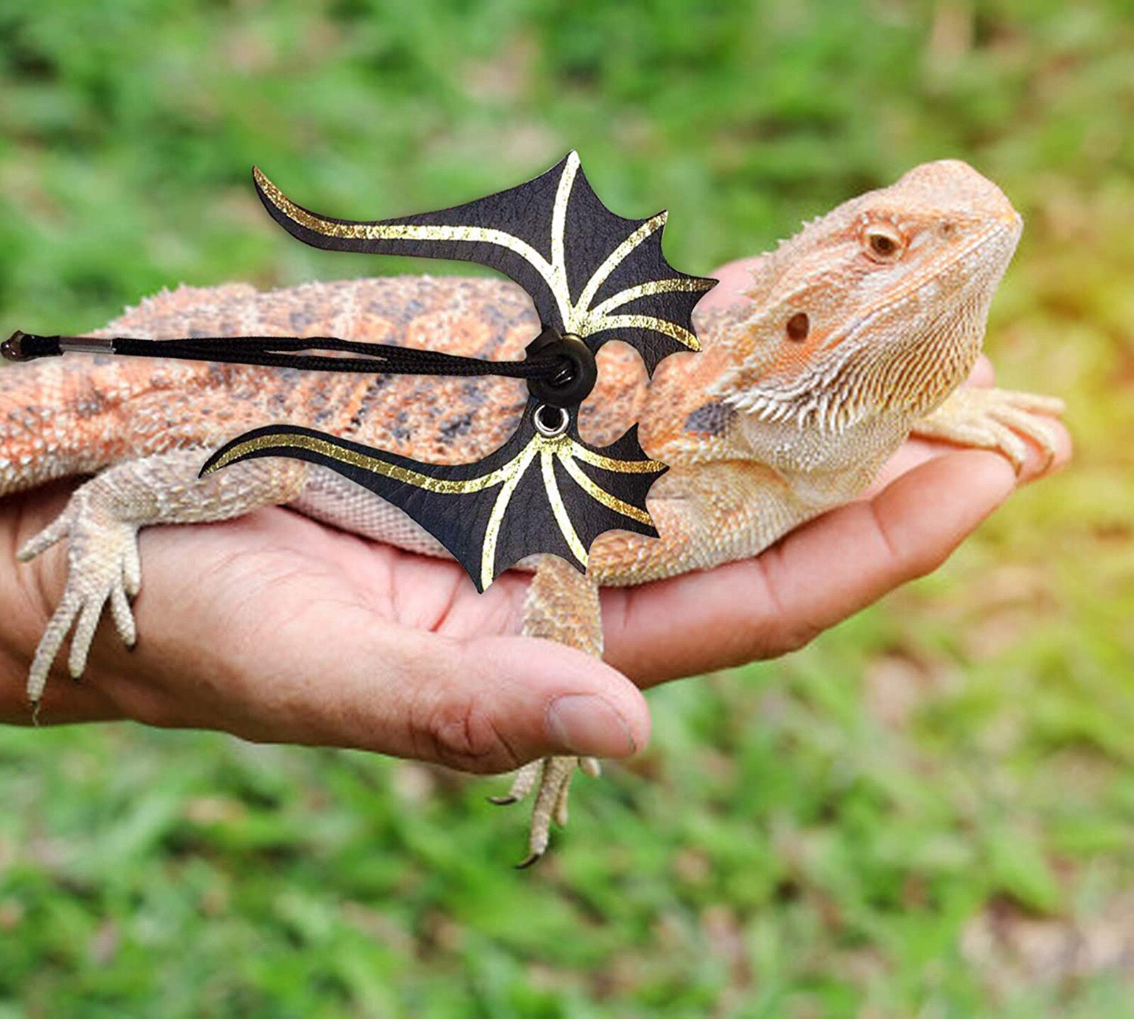 4pcs Reptile Lizard Bearded Dragon And Leash Adjustable Strap Dragon Harness And Leash Adjustable Strap Leashes Leash