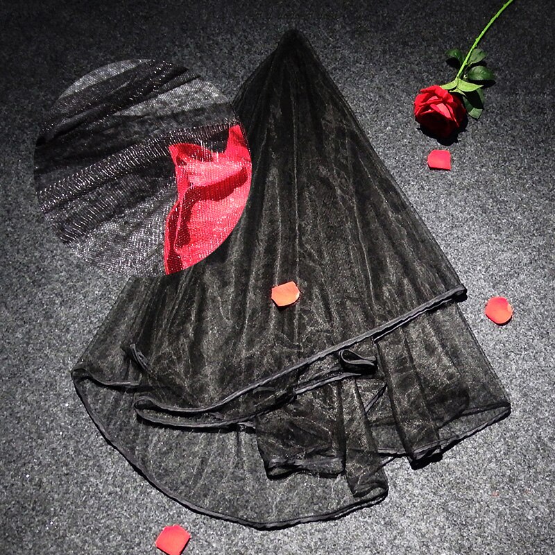 Eenvoudige en elegante bruidssluier bruids tule sluier met kam en kanten lint rand wit (wit): Zwart