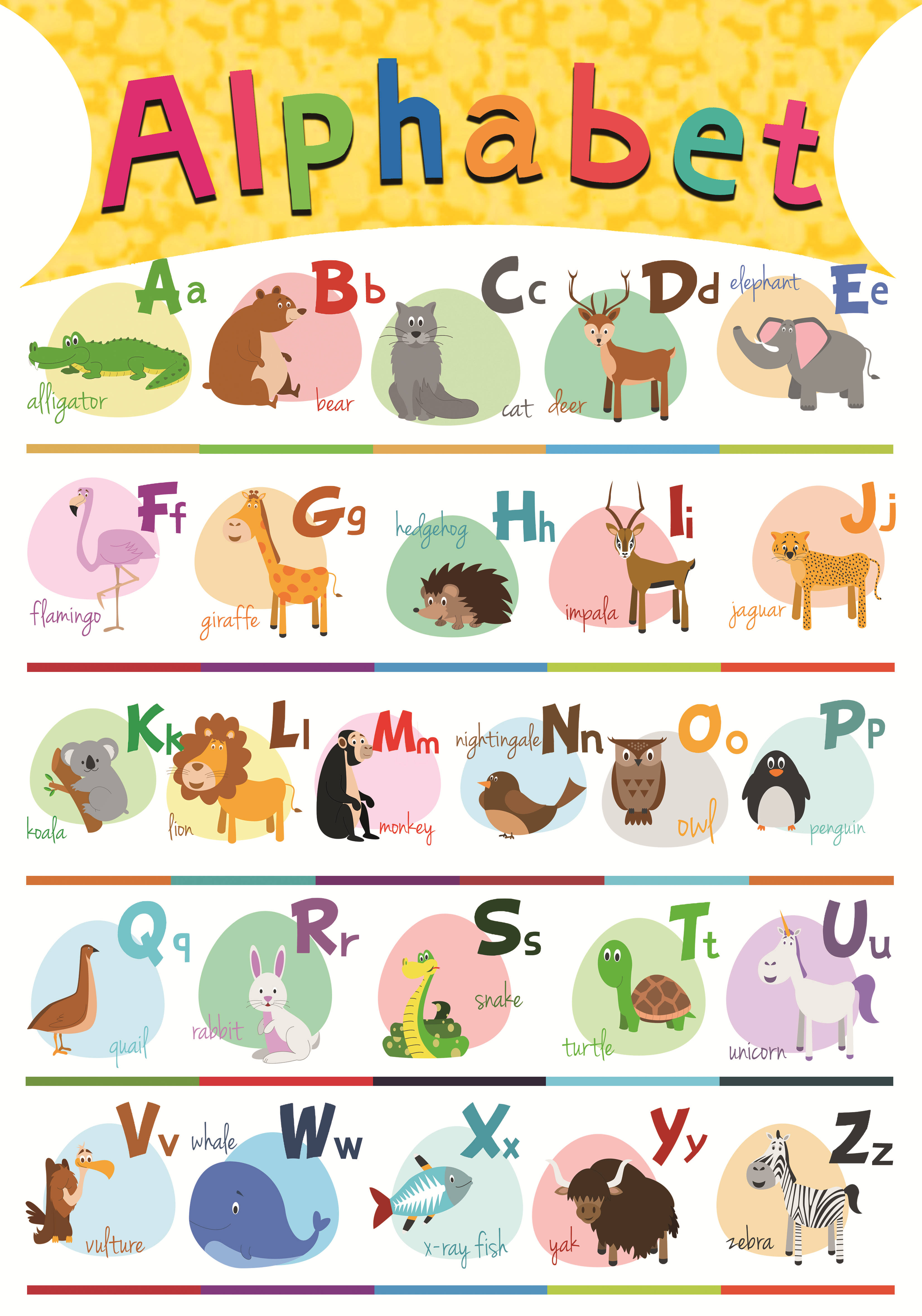 1Pcs 40X28Cm Materials for Children's Primary Education Paper Alphabet,number,color,seasons,farm Animals,my Body: Alphabet