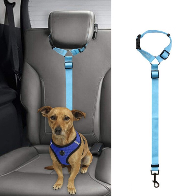 Verstelbare Autogordel Hond Nylon Leash Universele Kat Seat Riem Hond Keten Leiband Reizen Huisdier Accessoires Benodigdheden: blue