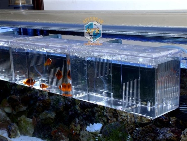 Auszusetzen Aquarium arcylic Guppy Baby kleine fische trennung zucht Kasten krank fisch fördern