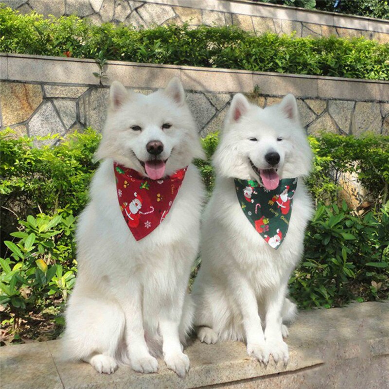 Écharpe de noël pour chat, accessoire ajustable, taille ajustable, pour cou de chien, à la , décoration pour animaux de compagnie, mignon