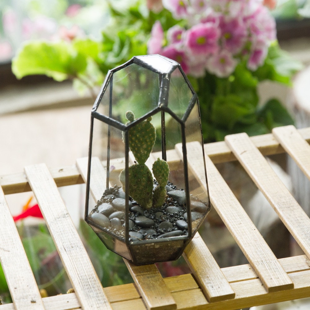 Glas terrarium planter have bordplade miniature uregelmæssig geometrisk glas blomsterpotte til sukkulenter mos bregner plante terrarium