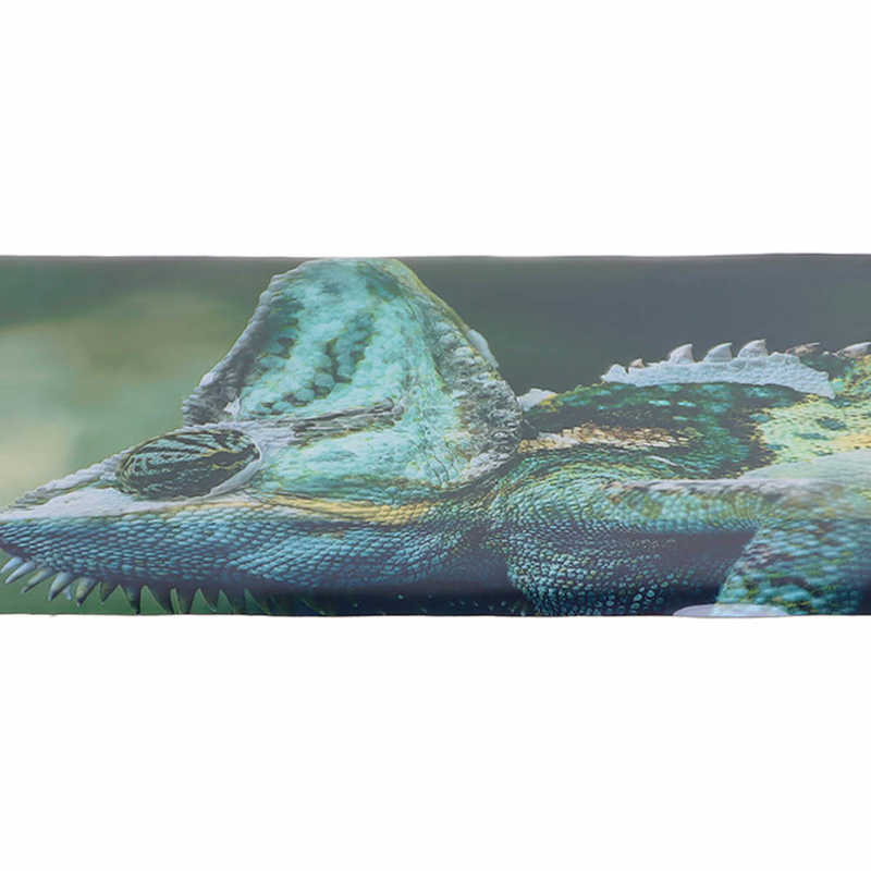 Aquarium Background Aquarium Sticker PVC Material for Fish Tank