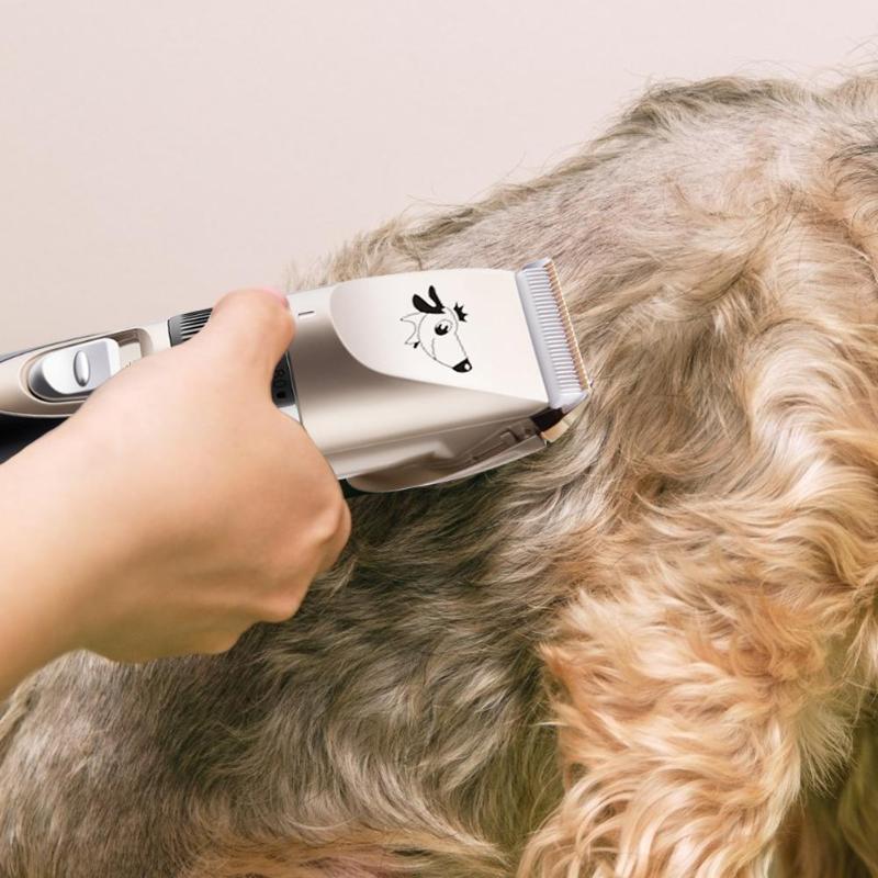Cortador de pelo para mascotas, cortador de pelo eléctrico recargable por USB para perros y gatos, máquina de corte de pelo para mascotas