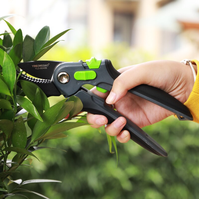 Haver saks podning værktøj frugt træ beskæresaks beskæresaks hånd havearbejde plante sakse gren beskæresaks værktøj
