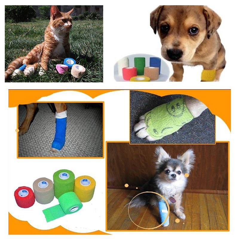 Animal de compagnie chien chat enveloppement de Bandage pour animaux Pet non-tissé avec adhéré pied bandage,10 cm/3.94