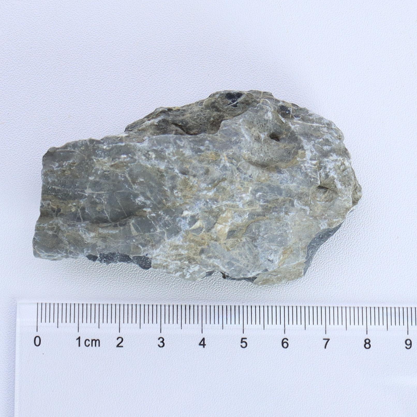 1lb/350g naturlig kalkstein, akvarielandskapsdekorasjonsstein, porøs kalsiumkarbonatstein, akvariefyll, potteplante