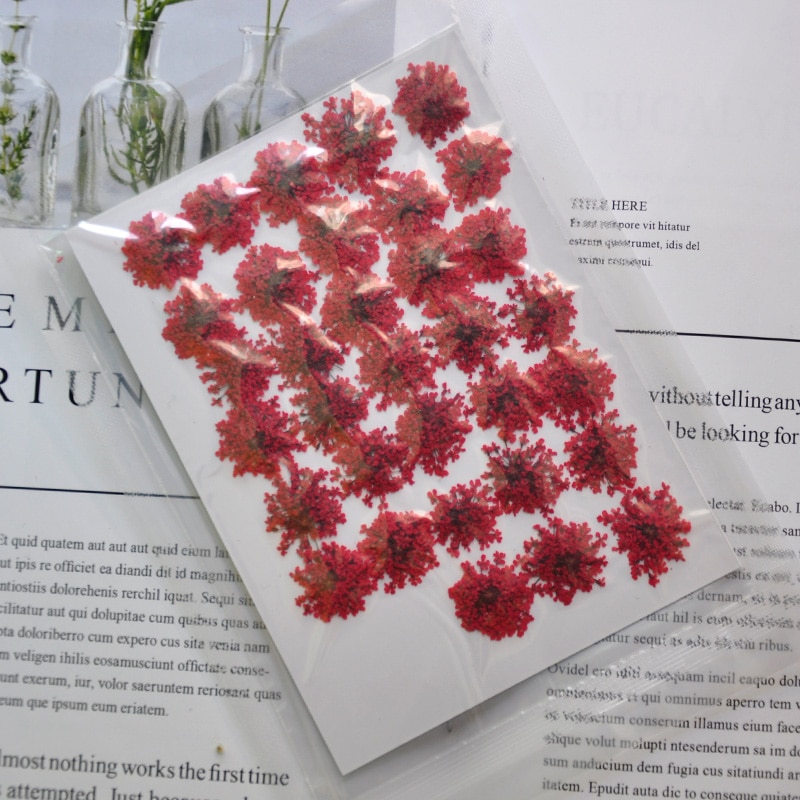 100 stk / pose vintergæk blomst naturlig tørret blomst presset blomst manicure tørret blomst dryp lim mobiltelefon cover gør det selv materiale