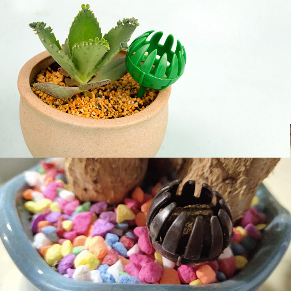 Gödselbox plast automatisk befruktning plantskola bonsai planteringsverktyg permeabelt membran orkidé blomma 10 stycken