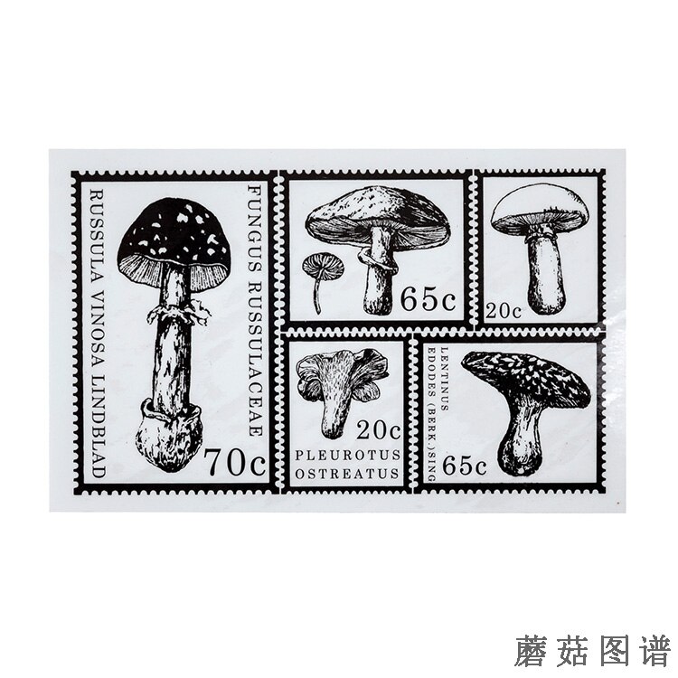 Retro Plants Leaves Flower Butterfly Decoration stamp rubber stamps for scrapbooking stationery DIY craft standard stamp: 5