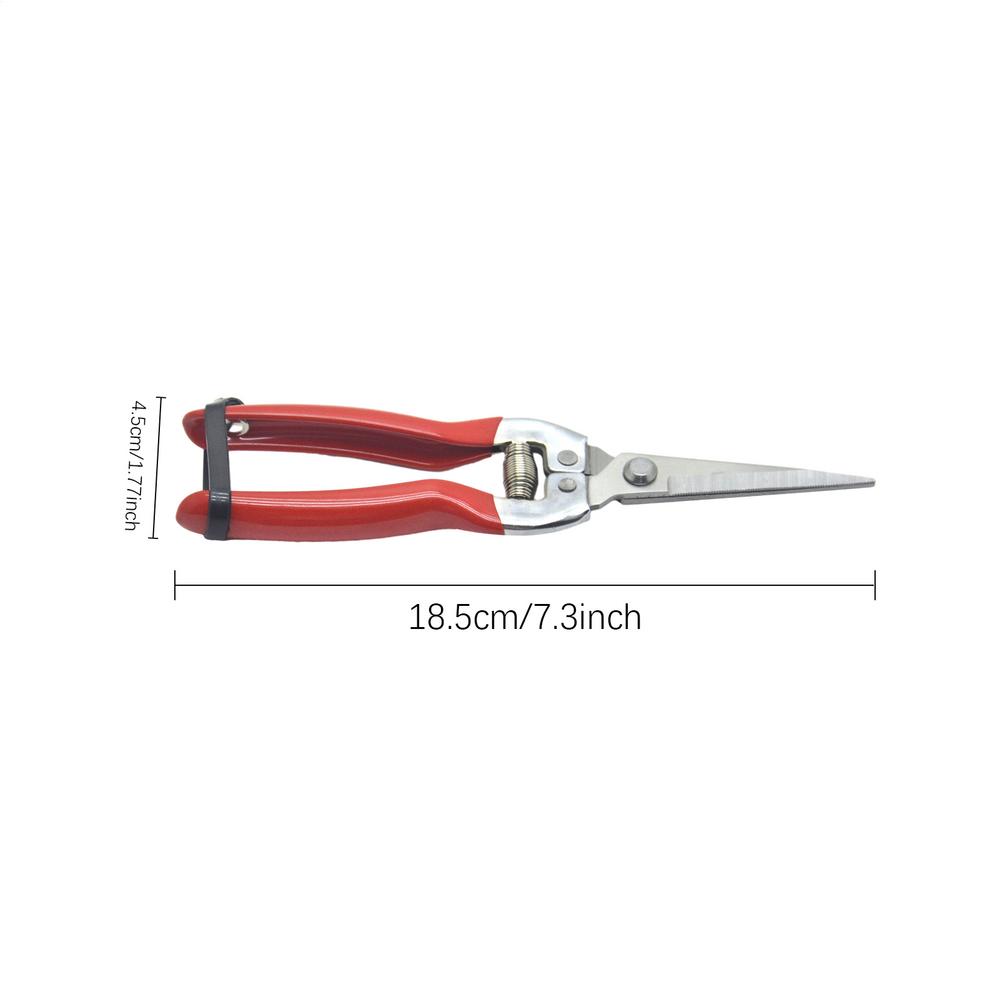 Tuinieren Hand Snoeischaar Tuin Schaar Hand Snoeischaar Snoeischaar Blad Trimmer Rechte Bloemist Schaar Tuinieren Handgereedschap: Blauw