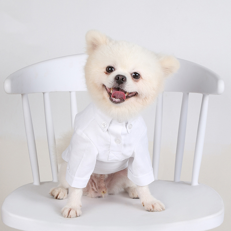 Handsome Dog Tuxedo French Bulldog Coat Pet Dog Costumes Pet Cat Clothing: XXL / White Shirt