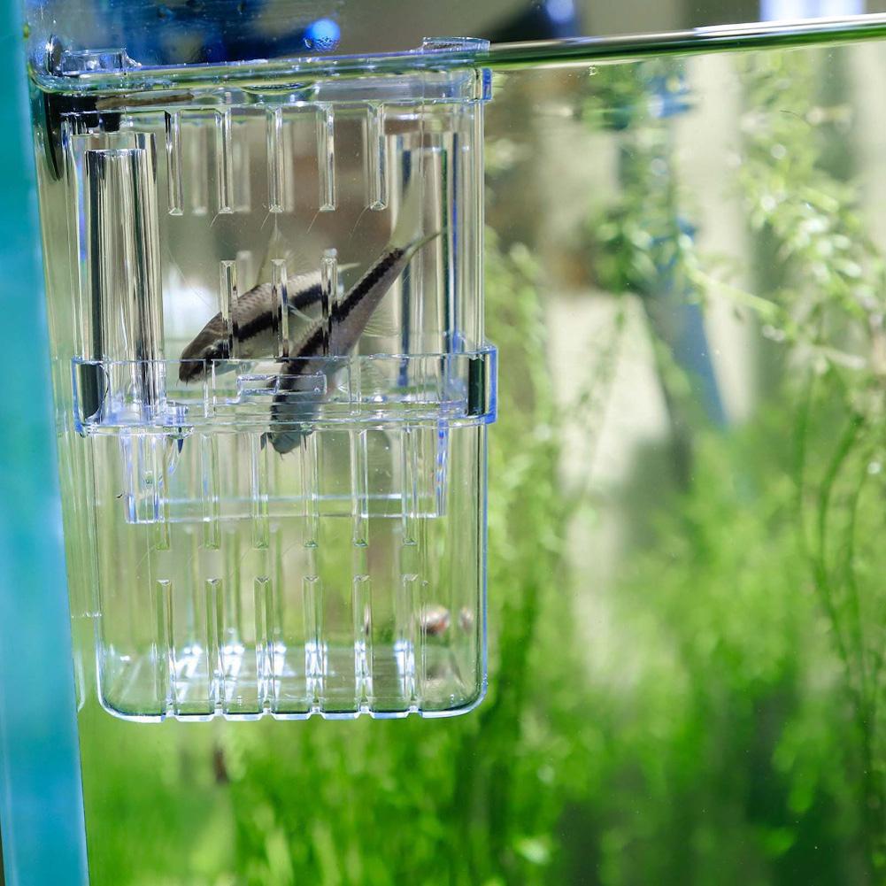 Double Layer Self Floating Incubator with Suction Cup Aquarium Hatching Fish Breeding Box