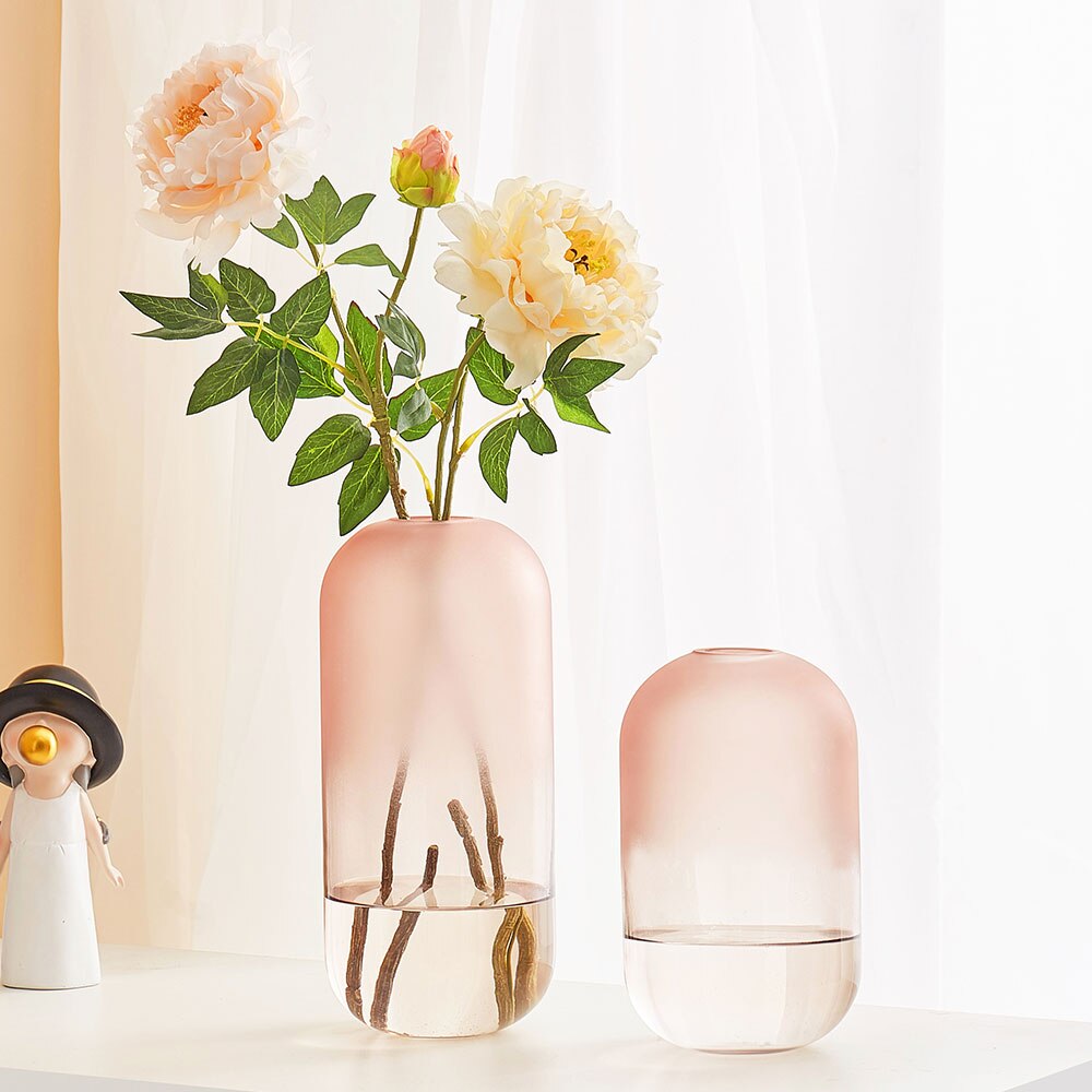 Eenvoudige decoratie van gematteerde glazen vazen, transparante vazen, scandinavische interieurdecoratie, inzetstuk voor thuis, bloemenknutsels