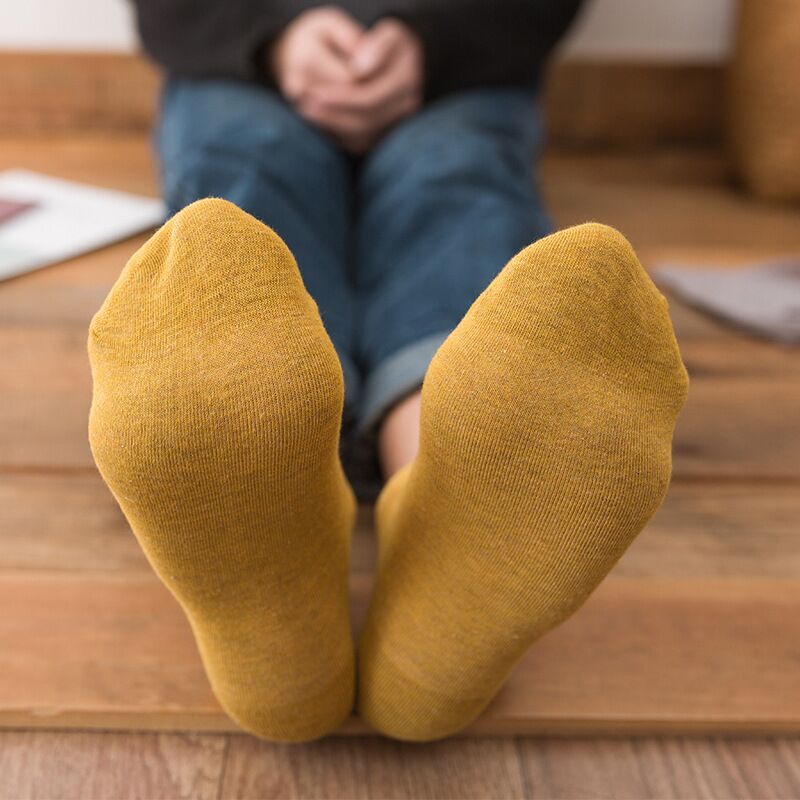 Lot 36-44 10 paires de chaussettes unisexes pour homme et femme, en coton respirant, couleurs unies, décontractées, pour le printemps, l'été et l'automne