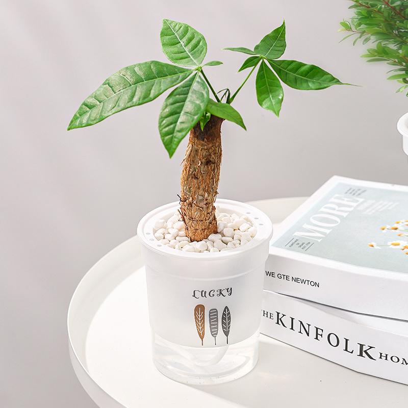 1Ps Einfache Schreibtisch Beständig Automatische Wasser Absorption Faule Person Runde Kunststoff Kleine Blumentopf