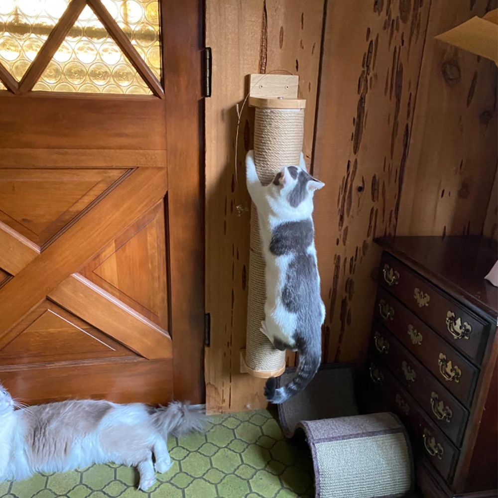 An der Wand montiertes Katzenkratzseil, Jute-Katzen-Kletterregale, springende Plattform und Pedal für Katzen, schlafende Katzenmöbel, Haustierspielzeug