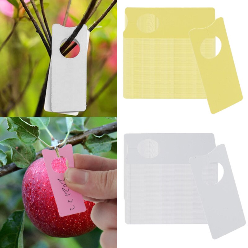 50/100 sztuk 2*5cm znaczniki roślin ogród przedszkola etykiety robić zawieszenia na drzewko markery roślin drzewa owocowe znaki szybka karty klasyfikacji narzędzie