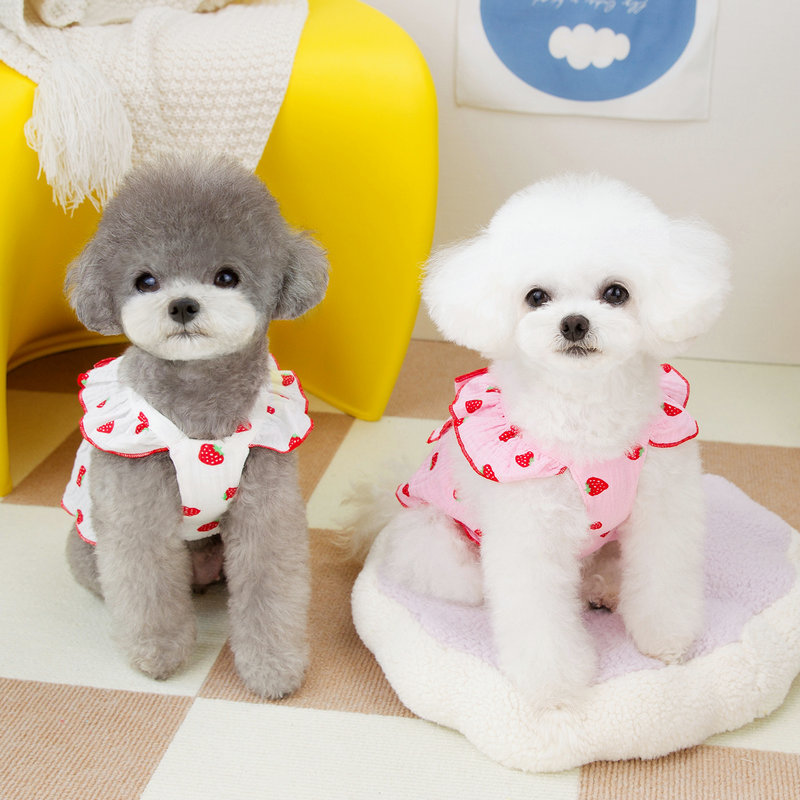 Husdjur jordgubbsklänning sommar hundkläder lyxig hundväst strumpebandshållare kjol hund kyltröja bichon chihuahuakläder hundkläder