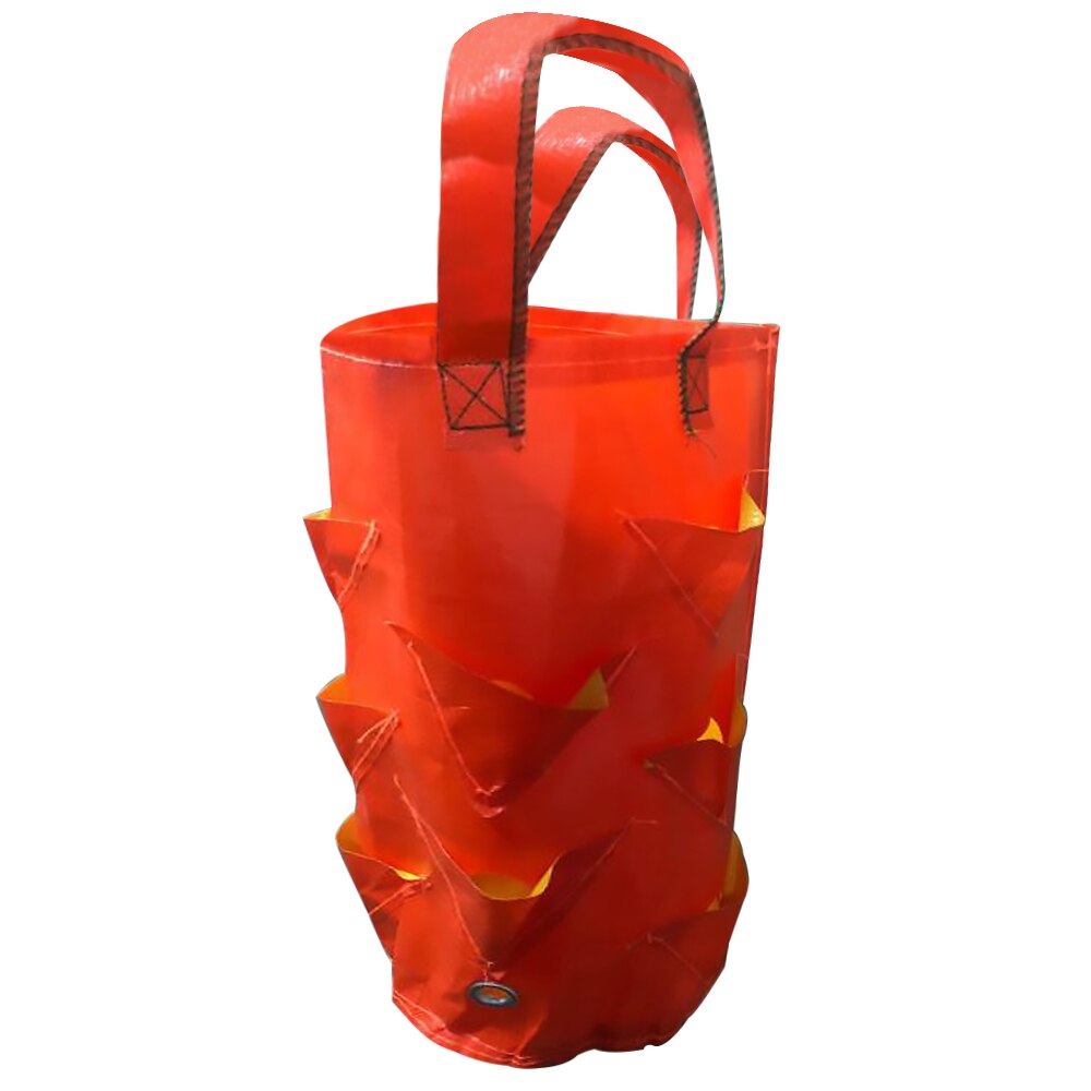 Potato Grow Bag Vegetable Patio Tomato Sack Planter Planting Durable Planter Pot With Handes For Pants 2: C