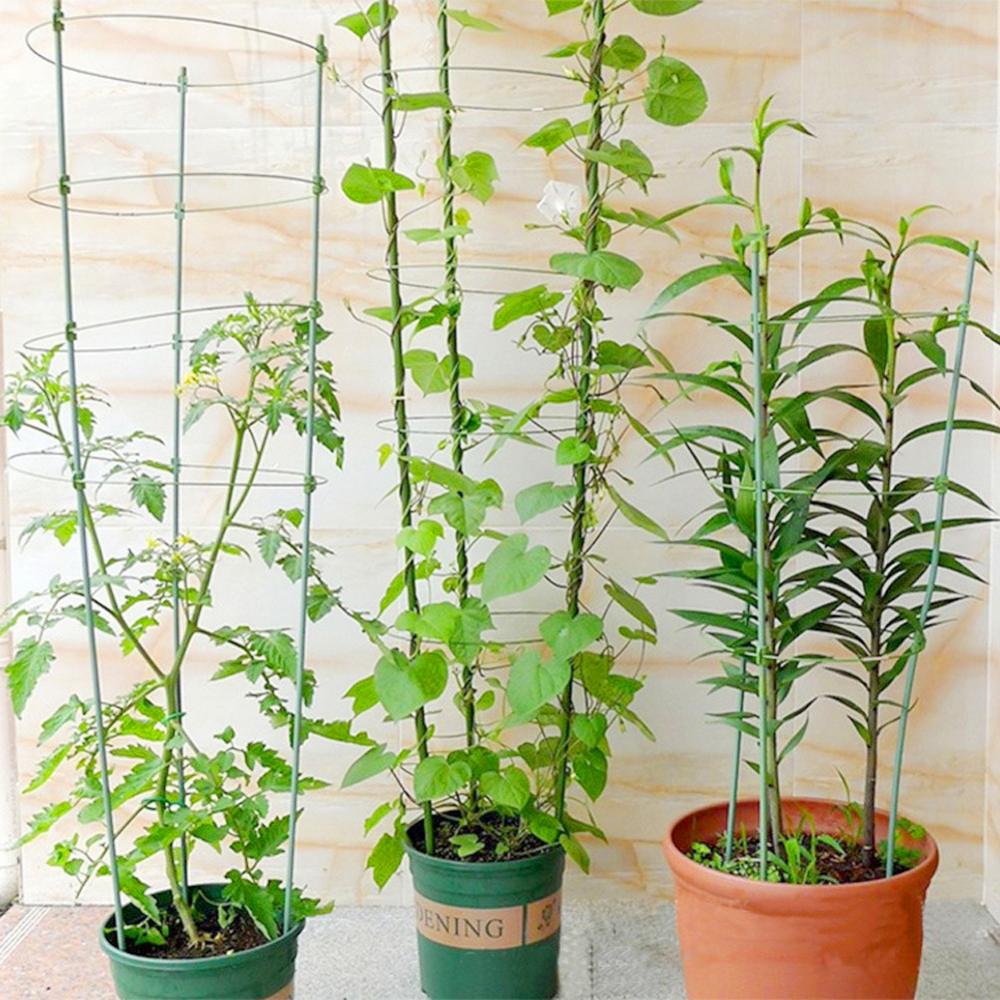 Plastbelagd stål växtstödram 45cm/60cm klätterranka ställ hållbara blomgrönsaker dekorativt fäste 5 st