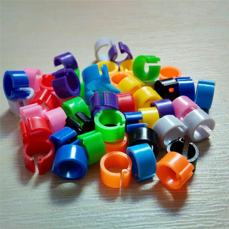100 Stks/pak Van Plastic Clip Ring Duif Gekleurde Voet Ring Gemengde Duif Been Riem Clip Duif Duif Eendjes Bantam Pluimvee