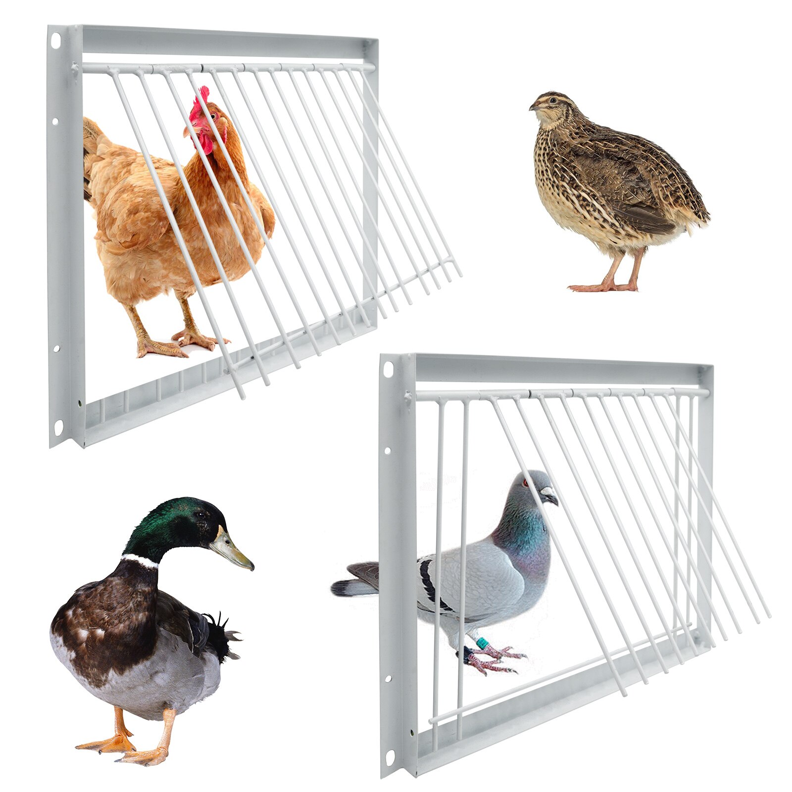 Pigeon Door Metal Wire Bars Frame Entrance Trapping Doors Loft Animal Birds Supplies Catching Bar Entry Curtain Removable