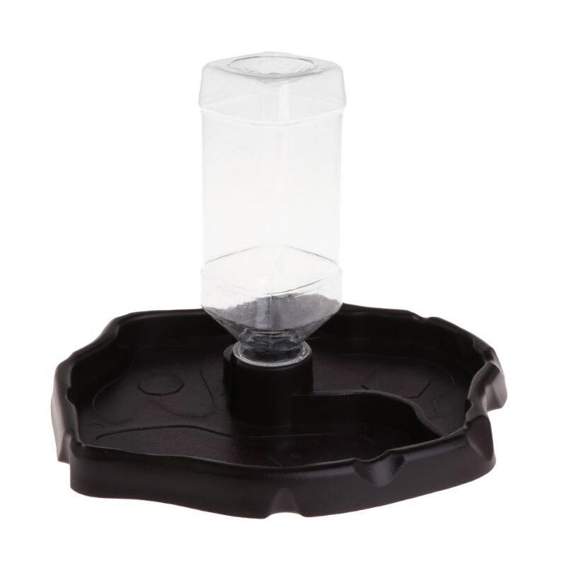 Reptile Feeder 2 in 1 Automatic Water Food Feeding Plate Lizard Turtle Dispenser Food water separative: Dark Brown
