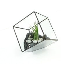 Irregular Glass Geometric Terrarium Tabletop Box Flower Planter Large 10*10cm: Black