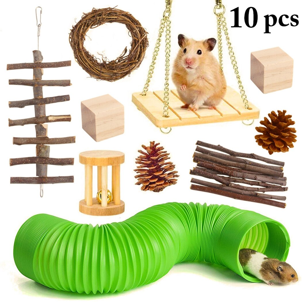 Hamster Chew Toys Natural Wooden Hamster Toys 10 pcs Set Gerbils Guinea Pigs Hamster Chew Toys Small Animal Pet Molar Toys: Default Title