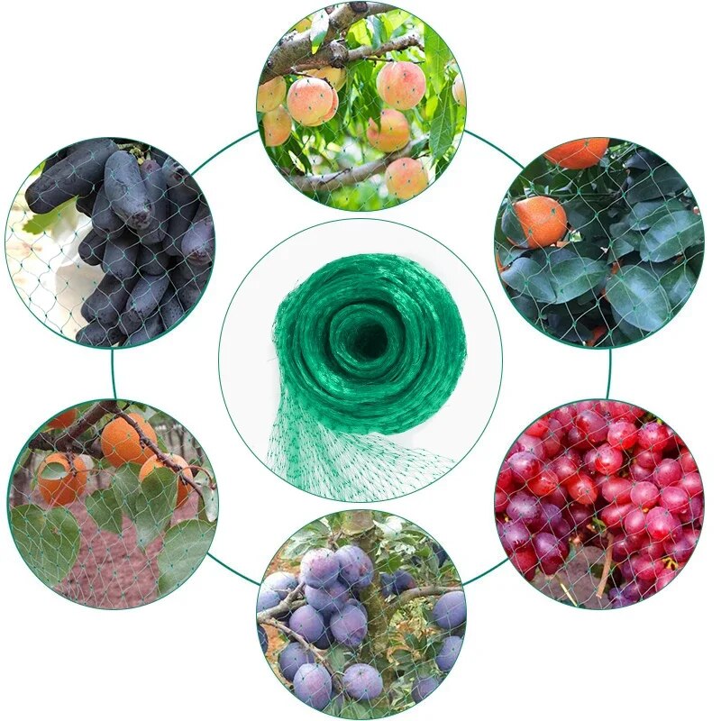 Havenet grønt vævet net beskytter planter frugt blomster træer stræk hegn holdbare netstoppere fugle hjorte dyr