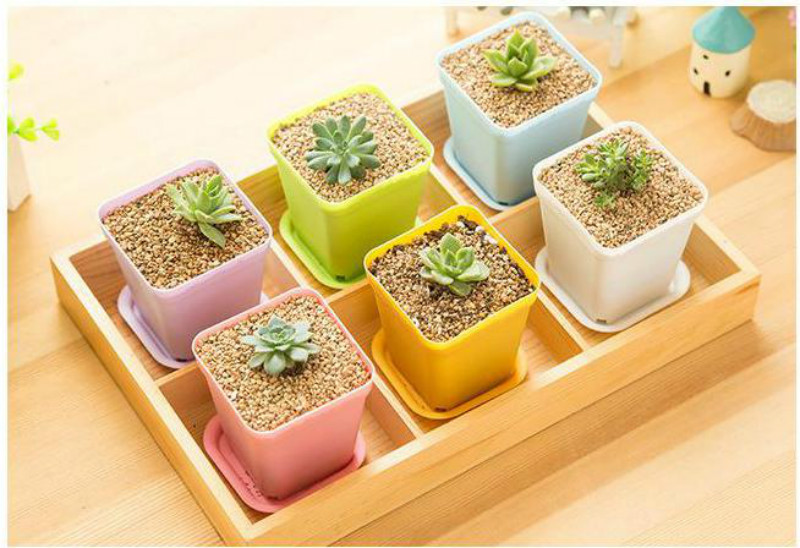 10 st/set mini färgglad blomkruka i plast kruka trädgård balkong blomkrukhållare djur växtkrukor balkon wyq