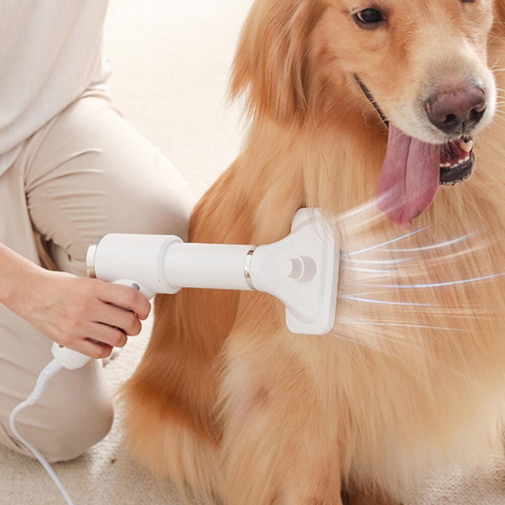 Sèche-cheveux Portable 2 en 1 pour chiens, peigne de toilettage, brosse, souffleur de fourrure, température réglable, faible bruit, fournitures pour animaux domestiques