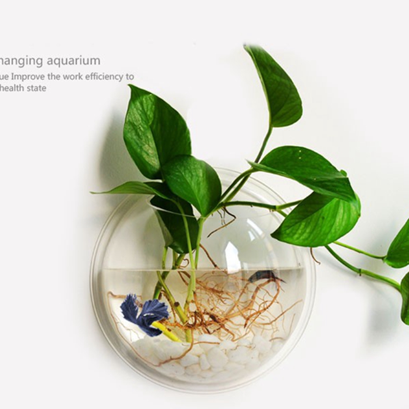 NuoNuoWell 1 Piece Acrylic Wall Mounted Transparent Fish Tank / Wall Aquarium Hanging Fish Bowls Home Decoration