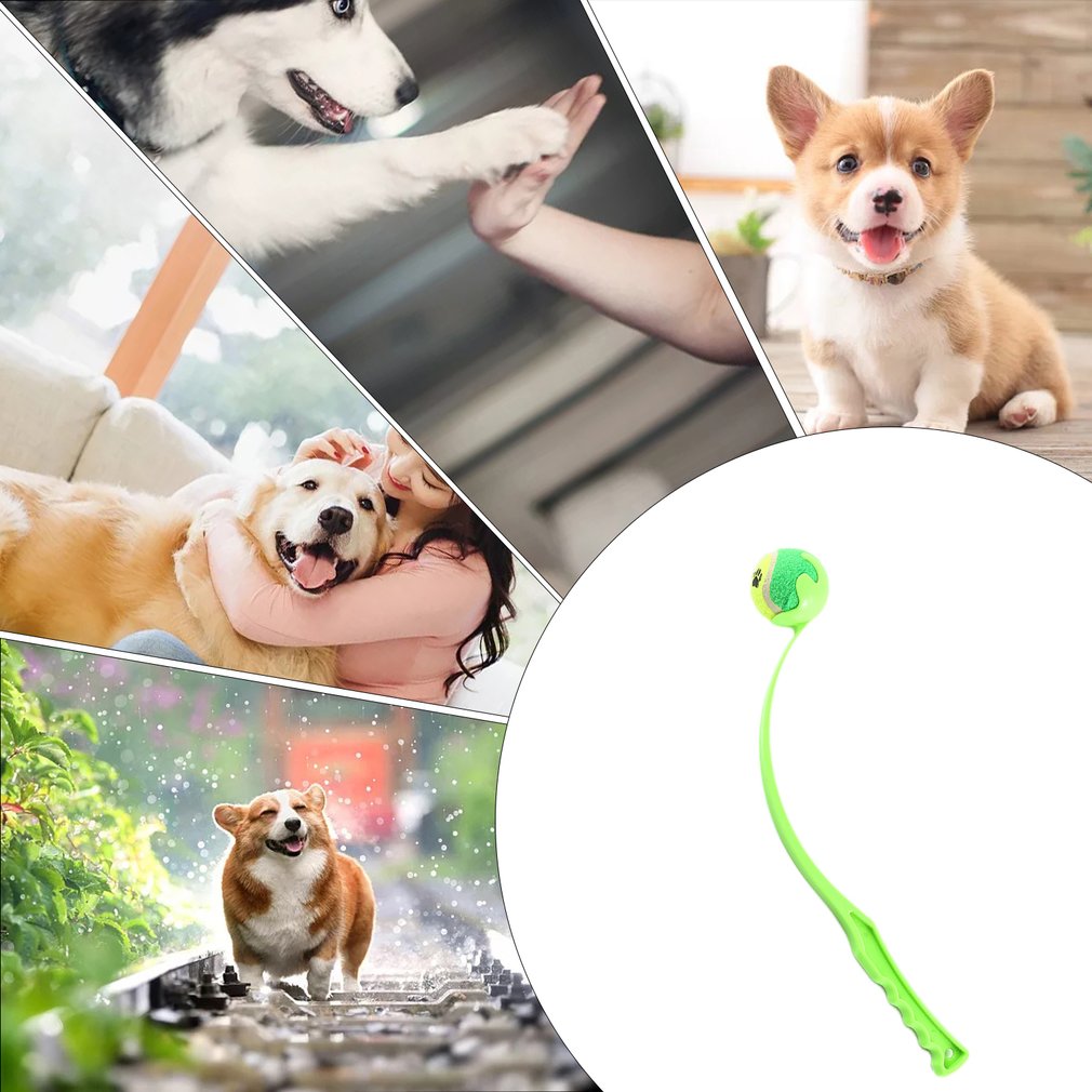 Kastbollar för hund husdjur hund kasta käppleksaker utomhusaktiviteter hundar träningsleksaker husdjur plast interaktiva kastleksaker