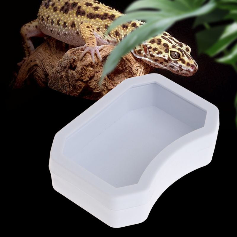 Neue Reptil Zubringer Wasser Lebensmittel Fütterung Kunststoff Schüssel 3 Größe Schildkröte Eidechse Schlange Becken