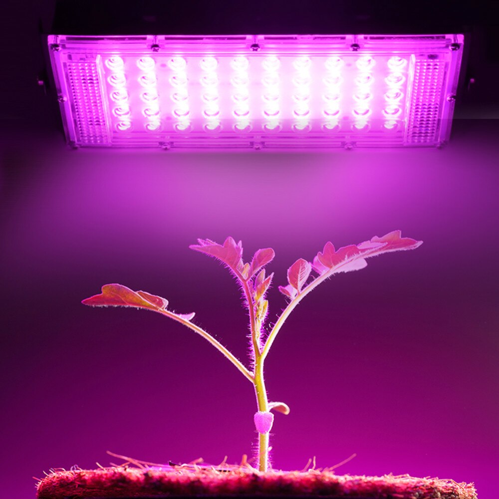 10pcs 50W LED Grow Light Full Spectrum Chip 220V Phytolamp For Plants Tent Floodlight Phyto Lamp Growing Box Flowers Seedling