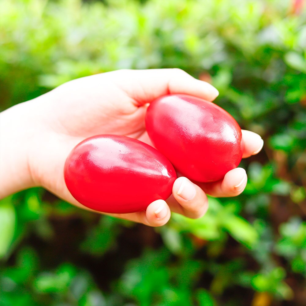 Oeufs en bois Maracas, Instrument de Percussion musicale, rouge, 2 pièces