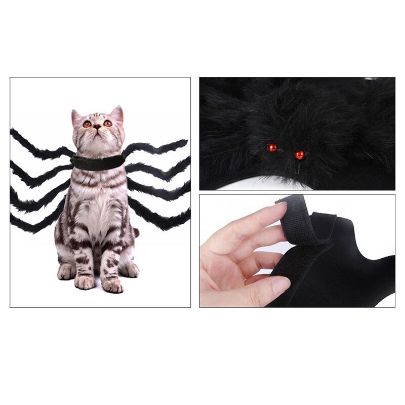 Pająk na Halloween kostium dla psów koty pająk na Halloween kostium dla zwierząt uścisk-oferty