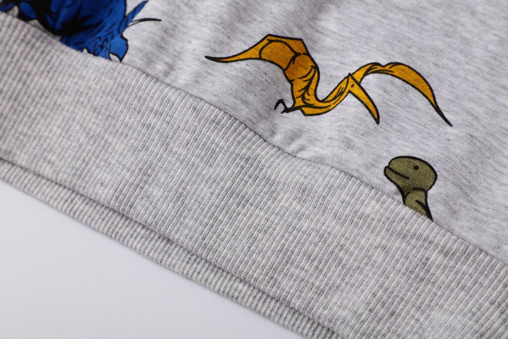 2-7years Autumn Infant Children Kid Boy Cartoon Dinosaur T-shirt Tops Shirts For Little Kids Casual Pullover Sweatshirt#50