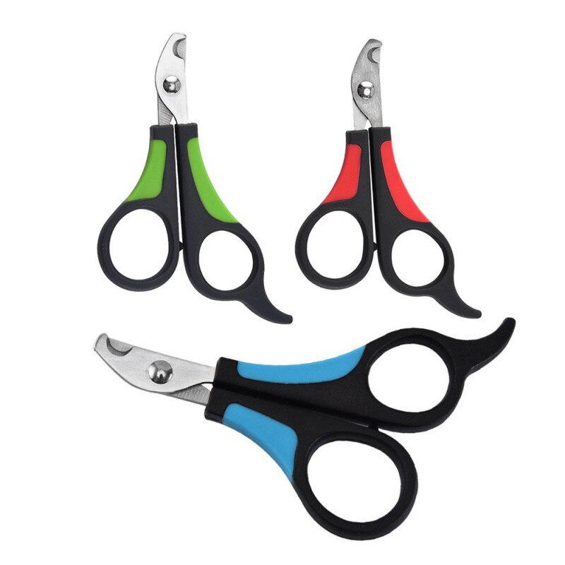 Coupe-ongles pour animaux domestiques, ciseaux de coupe pour chiens, chats, oiseaux, cochon d'inde, griffes, coupe-patte, oiseau, perroquet, cisaille les animaux