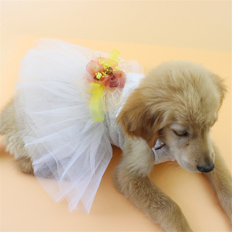 Doux chien robe de mariée jupe été robes pour animaux de compagnie pour petits chiens chiot chat vêtements Chihuahua Shih Tzu vêtements ubranka dla psa