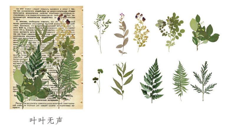 1 sæt /1 parti kawaii papirvarer klistermærker herbarium dagbog dekorative mobile klistermærker scrapbooking diy håndværk klistermærker: Yeyewusheng